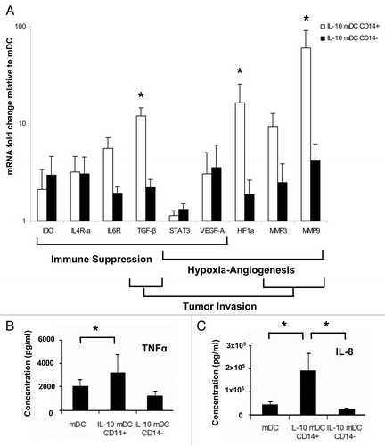 Figure 5. CD14+ dendritic cells matured in the presence of interleukin-10 display an angiogenic, pro-invasive and immune suppressive transcriptional profile. (A) Relative mRNA expression levels of the indicated genes in CD14+ (open bars) and CD14− (closed bars) dendritic cells (DCs) matured in the presence of interleukin (IL)-10 (IL-10-mDCs), upon normalization to the values of DCs matured in the absence of IL-10 (mDCs), as assessed by qRT-PCR. Data are means ± SEM from n = 6 experiments, *p < 0.05. (B) Secretion of tumor necrosis factor α (TNFα) and IL-8 by mDCs and IL-10-mDCs sorted by CD14 expression, upon CD40 ligation. Data represent means ± SEM from n = 5 experiments, *p < 0.05.