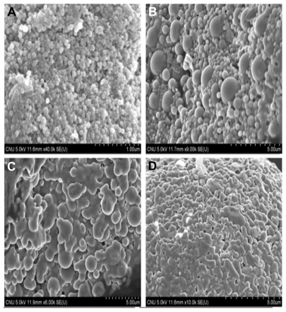 Figure 4 Scanning electron microscopic images of polylactic acid-co-glycolic acid nanoparticles with different centrifugation speeds. (A) 8000, (B) 10,000, (C) 13,000, and (D) 15,000.