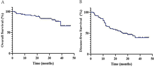 Figure 2 Kaplan-Meier curve pertaining to the survival in patients with rNPC. (A) Overall survival; (B) Disease-free survival.