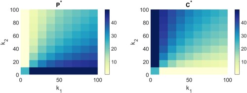 Figure 2. Plot of the equilibrium number or value of closed C∗ and open P∗ ion channels given in (Equation5(5) C∗=k2k1(N−C∗),⇒C∗+k2k1C∗=k2k1N,⇒C∗(1+k2k1)=k2k1N,⇒C∗(k1+k2k1)=k2k1N,⇒C∗=k2k1+k2N.(5) ) and (Equation6(6) ⇒P∗=k1k1+k2N.(6) ). Along the horizontal axis are the values of k1 considered and along the vertical axis are the values of k2 considered. For each k1 and k2 combination, the colour in the domain represents the value of P∗ (left) and C∗ (right). The specific value of C∗,P∗ is given on the colour bar on that image. Note that since k1=k2=0 gives a denominator of zero for P∗ and C∗, the smallest value of k1 and k2 we considered was 10−6.