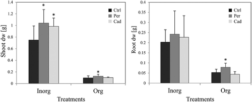 Figure 2. Impact of DSEs on tomato vegetative growth (first pot-experiment). Tomato plants were non-inoculated (Ctrl), inoculated with Periconia macrospinosa (Per) or inoculated with Cadophora sp. (Cad) and were grown in organically fertilised (Org) or inorganically fertilised (Inorg) soils. The dry weight of roots and shoots was measured. After log-transformation, two-way ANOVA (P = 0.05, n = 11–12) was carried out, showing that the factor ‘DSE’ had a significant impact on the dry weight (dw) of shoots, but there was no interaction between ‘DSE’ and ‘fertilisation’. The Kruskal–Wallis test (P = 0.05, n = 11–12) showed that root dry weight (dw) was also influenced by the factor ‘DSE’, and all plant growth parameters were influenced by the factor ‘fertilisation’. Significant differences between inoculated and non-inoculated plants are indicated by asterisks (Kruskal–Wallis test; P = 0.05, n = 11–12).