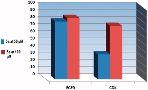Figure 3. Percentage of kinases inhibition of compound 5a against EGFR, CDK4 at (50 and 100 μM).