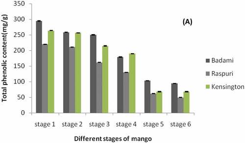 Figure 2. Total phenolic content in the peels of ‘Badami’, ‘Raspuri’, and ‘Kensingtonpride’mangoes harvested at different stages of fruit maurity and at complete ripe stage. Stage 1: 30 DFS, stage 2: 60 DFS, stage 3: 90 DFS, stage 4: 110 DFS, stage 5:120 DFS, stage 6: completely ripened fruits (with TSS, >20° Brix).