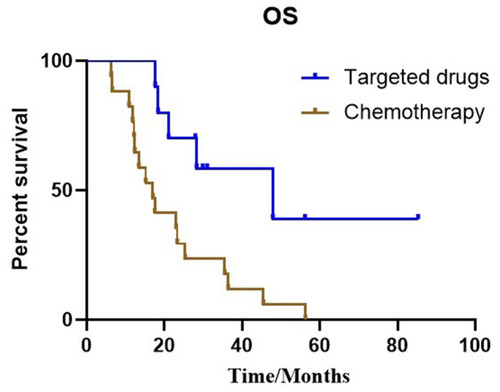 Figure 5 Kaplan–Meier estimates of overall survival according to different treatments in patients with cystic BM: targeted drugs and chemotherapy (47.9 months vs 17.0 months, P=0.007).