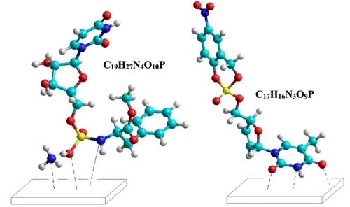 Figure 21. Suggested physisorption mechanism for C19H27N4O10P and C17H16N3O9P molecules.