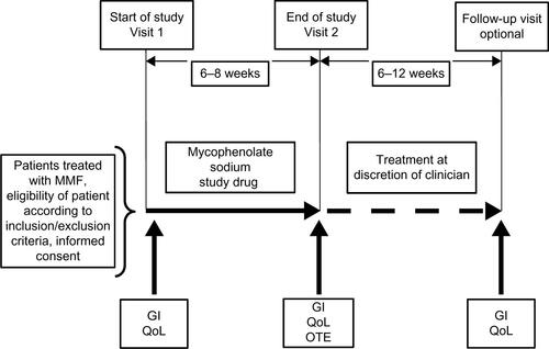 Figure S1 Study flow chart.Abbreviations: GI, gastrointestinal; MMF, mycophenolate mofetil; OTE, overall treatment effect; QoL, quality of life.