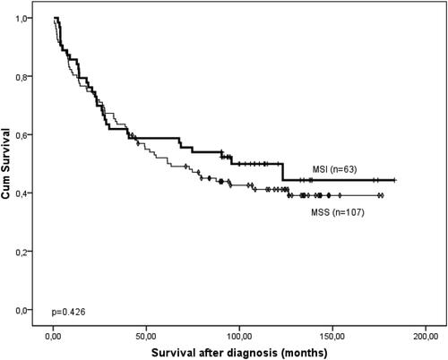 Figure 4. Kaplan-Meier survival curve of the patients with CRCs according to the MSI/MSS status of the cancers. The significance of the difference is assessed with Log-rank test. p = 0.426.