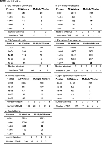 Figure 1. DMR analysis. The number of DMRs found using different p-value cut-off thresholds. The All Window column shows all DMRs. The Multiple Window column shows the number of DMRs containing ≥2 significant windows. The number of DMR with the number of significant windows at a p-value threshold bolded is presented. (a) E13 primordial germ cells. (b) E16 prospermatogonia. (c) P10 spermatogonia. (d) Pachytene spermatocytes. (e) Round spermatids. (f) Caput epididymal spermatozoa. (g) Cauda sperm.