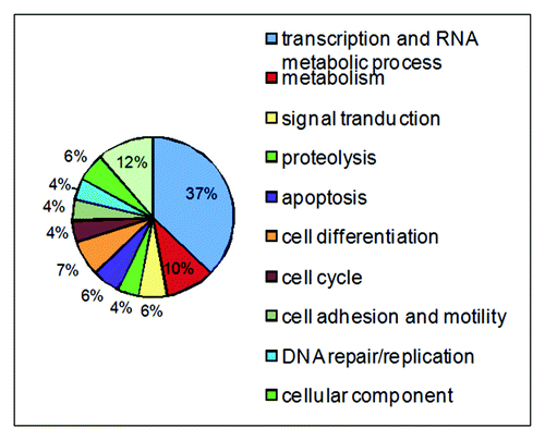 Figure 1. Identification of DDB2-interacting human proteins by a yeast two-hybrid system. Classification of DDB2 interacting proteins into diverse cellular processes.