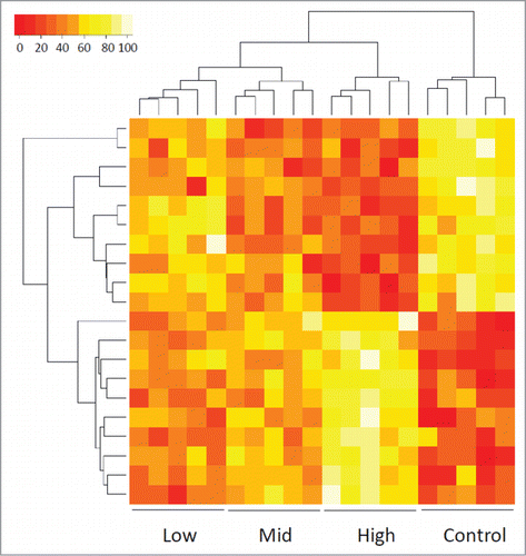 Figure 1. Heat map showing the methylation values of CHARM probes that differentiate among control and 3 cytogenetic risk groups of AML patients based on unsupervised agglomerative hierarchical clustering. Each column represents a patient. Each row denotes a probe. The top 20 probes are displayed as an example to show how the samples can be classified into 4 distinct groups, normal control, low-risk, mid-risk, and high-risk AML, based on the methylation values (Agglomerative Coefficient = 0.77).