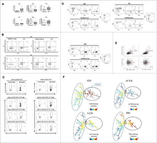 Figure 2. Cytokine production of tumor infiltrating γδ T cells. (A) Box plots of cumulative data of healthy tissue and tumor tissue samples from 20 CRC patients. Cells were stimulated in vitro as described in Materials and Methods and were stained with mAbs to IFN-γ, IL-17 and TNF-α.  *p<0.05 and **p<0.01 performed by nonparametric Mann-Whitney test, unpaired and 2-tailed with confidential interval 95%. (B) Flow cytometry analysis of healthy and tumor tissue from one representative CRC patient. (C) Representative dot plots to define IL-17 or IFN-γ producing γδ, Vδ1 and Vδ2 T cells gated separately on CD45+ CD3+γδ−, CD45+ CD3+ Vδ1+ or CD45+ CD3+ Vδ2+ T cells. (D) Representative dot plots to define cells making IL-17 or IFN-γ upon gating on CD45+ IL-17+ or CD45+ IFN-γ+ cells, of healthy and tumor tissue. (E) Pearson correlation of TCR, IFNG and IL17A gene expression levels in n = 585 CRC tumor samples.**p<0.01. (F) CRC-infiltrating CD45+ single cells were used to generate the SPADE tree, and were grouped in 2 different populations, CD3− and CD3+(black outer circles). The distribution of the major populations is showed for one representative sample. The branching tree is based on the number of cells included in each node and the legend indicates the range of cell per node according to relative median fluorescence intensity.
