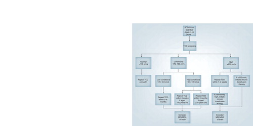 Figure 1. Transcranial Doppler screening recommendations.†Consider repeating TCD more frequently in those with additional risk factors such as silent infarcts, family history of stroke or abnormal TCD or abnormal MRA.MRA: Magnetic resonance angiography; SCD-SS: Homozygous sickle-cell disease; TCD: Transcranial Doppler ultrasound.