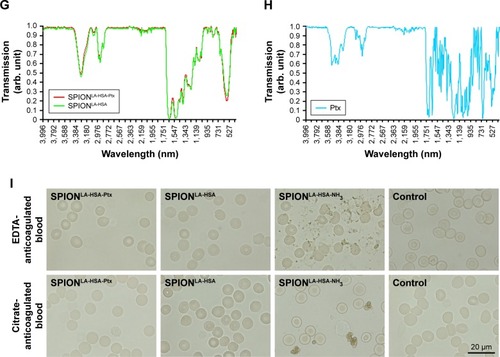 Figure 1 Physicochemical properties of Ptx-loaded SPIONs.Notes: (A) Hydrodynamic diameter of Ptx-loaded and unloaded particles in water and different cell culture media. (B) Dialysis-based release kinetics of SPION-adsorbed Ptx compared with free Ptx. (C, D) ζ potential as a function of pH in SPIONLA-HSA and SPIONLA-HSA-Ptx during (C) forward titration and (D) backward titration. (E) Magnetization curves showing the M(H) data of SPIONLA-HSA and SPIONLA-HSA-Ptx. (F) AC susceptibility spectra of SPIONLA-HSA and SPIONLA-HSA-Ptx. (G, H) Fourier transform infrared spectroscopy spectra of (G) SPIONLA-HSA, SPIONLA-HSA-Ptx, and (H) free Ptx. (I) Stability of SPIONLA-HSA and SPIONLA-HSA-Ptx in human blood. SPIONs coated with lauric acid and aminated human serum albumin (SPIONLA-HSA-NH2) were used as a positive control for nonstable particles. Negative control = corresponding amount of H2O instead of water-based ferrofluid. Representative images were recorded using optical bright-field microscopy.Abbreviations: DMEM, Dulbecco’s Modified Eagle’s Medium; EDTA, ethylenediaminetetraacetic acid; FBS, fetal bovine serum; H, applied magnetic field; M φ, magnetization; Ptx, paclitaxel; RPMI, Roswell Park Memorial Institute; SPION, superparamagnetic iron oxide nanoparticles; SPIONLA-HSA, lauric acid- and human serum albumin-coated SPIONs; SPIONLA-HSA-NH2, lauric acid- and aminated human serum albumin-coated SPIONs; SPIONLA-HSA-Ptx, SPIONLA-HSA functionalized with Ptx; Xi, real part of the magnetic susceptibility; Xii, imaginary part of the magnetic susceptibility.