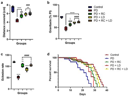 Figure 2. Distance covered on the larval motility assay (a), performance index on the gravitaxis assay (b), number of offspring emergence (c), and survival assay (d). There was a statistically significant decrease in larval motility, adult gravitaxis, and eclosion rate in all the PD groups compared to the control. On the other hand, all the PD groups exposed to ribose-cysteine and levodopa showed a statistically significant increase in these parameters when compared to the PD group fed on a normal diet. On the survival assay, the highest longevity was observed in the control group, while the groups exposed to ribose-cysteine and levodopa showed extended longevity over the PD group which were on a normal diet. The result is expressed as mean ± S.E.M. at **: p < 0.01, ****: p < 0.0001 compared to control; ##: p < 0.01, ###: p < 0.001, ####: p < 0.0001 compared to PD; λ: p < 0.05, λλ: p < 0.01 compared to PD + RC + LD (control: w1118, RC: ribose-cysteine, LD: levodopa, PD: Parkinson’s disease).