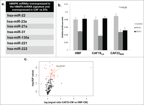 Figure 3. hMAPK miRNA 221/222 are involved in CAF mediated ER repression. (A) Table showing list of hMAPK miRNAs in all the CAF cell cultures vs dissociated tumor cells (DTs). (B) Treatment of MCF-7/lt E2- cells transfected with dual luciferase reporter vector with different CAF conditioned media. Data represents relative luciferase units (RLU). (C) A volcano plot showing miRNAs that are differentially expressed when MCF-7/lt E2- cells are treated with CAF23BAS vs HMF conditioned media.