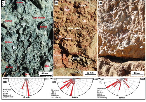 Figure 4. Blue Spur Conglomerate outcrop features in the modern Waitahuna Gully mine. A, Unoxidised conglomerate near the base of the unit. B, Partially oxidised conglomerate. C, Strongly weathered conglomerate near to the original topographic surface prior to historic mining. D–F, Rose diagrams showing inferred paleocurrent directions (mainly towards south and southwest) for the conglomerate, based on clast orientations and stacking, near the base of the unit.