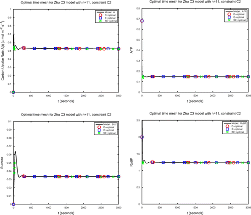 Fig. 9 Solutions of selected state variables in the Zhu model.[Citation6] Plotted on top of each curve are the D-optimal (circle), E-optimal (square) and SE-optimal (x) n=11 sampling times under constraint C2 when sampling the optimal five observables to estimate θ→c (Table 9). Top left: Carbon uptake rate A(t); top right: ATP; bottom left: SUCc; bottom right: RuBP.