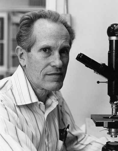 Figure 16. Bill Evitt at his microscope in the palynology laboratory that he established at Stanford University. The image is reproduced with the approval of the Evitt family.