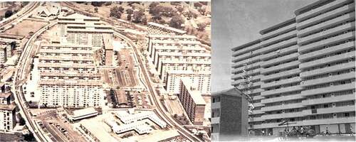 Figure 4. Layout and public housing form of queenstown in 1960s(Source: national archives of Singapore).