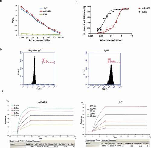 Figure 4. The purified full-length human IgG1 antibody has high specificity, sensitivity and affinity against H5N1 virus.