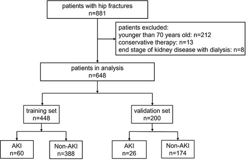 Figure 1 Disposition of 881 patients who had Hip fractures and were excluded (n=233), enrolled in the training set (n = 448 surgery from January 2015 to December 2019), or enrolled in the validation set (n = 200, surgery from January 2020 to December 2021).