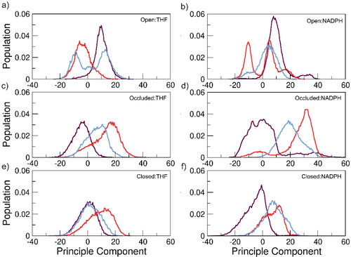 Figure 5. PCA depicting the first PC of motion of each simulation replica for all DHFR:ligand systems excluding M20, FG and GH loop domains. Each colored line denotes an individual replica for its respective simulation scenario.