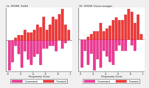 Figure 2. Distribution of propensity scores.