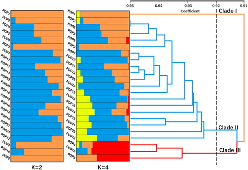 Figure 5. Genetic structure and dendrogram. Note: Genetic structure was constructed using Bayesian method by STRUCTURE 2.3.4 and UPGMA dendrogram was drawn based on Nei’s genetic distance by NTSYS-pc v2.10.