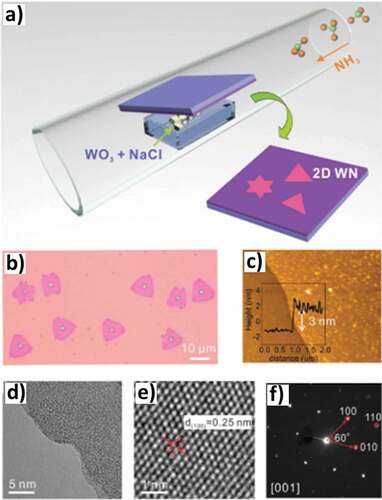 Figure 5. a) Illustration of the CVD synthesis of ultrathin WN. b) Optical image of ultrathin WN crystals deposited on a SiO2/Si substrate. c) AFM measurement indicates the typical thickness of WN is 3 nm (inset: AFM height profile). d) A TEM image shows the edge of a transferred ultrathin WN layer. e) A high-magnified TEM image shows the (100) lattice of WN. f) SAED pattern of WN (Reproduced with permission from [Citation107]).