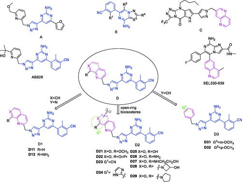 Figure 2. Design of dual A2A/A2B AR antagonists containing quinoline or its open-ring bioisosteres based on the structure of triazole-pyrimidine-methylbenzonitrile.