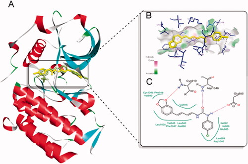 Figure 5. Molecular docking of compound 8q in the active site of VEGFR-2 (PDB: 4ASD). (A) 8q (Yellow) aligned to sorafenib (green) in the active site of VEGFR-2; (B) 3 D interactions of 8q (yellow) with the active site of VEGFR-2 (blue); (C) 2 D interactions of 8q with amino acids in the active site of VEGFR-2 where hydrogen bonds are showed as dashed lines and hydrophobic contacts are illustrated as spline segments.
