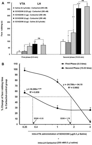 Figure 3 (A) Effect of intra-VTA administration of SCH23390 (D1-like dopamine receptor antagonist) on the antinociception induced by chemical stimulation of LH using carbachol. Intra-VTA administration of SCH23390 (0.25, 1 and 4 μg/0.3 μL saline) significantly attenuated antinociception induced by intra-LH microinjection of carbachol (250 nM/rat) during both early and late phases of formalin-induced orofacial nociception. (B) A log dose–response curve of the effect of intra-VTA administration of different solutions of SCH-23390 (0.25, 1and 4 µg/0.3 μL saline) on carbachol-induced antinociception during the early compared to that of late phase of formalin-induced orofacial nociception. The effective dose (ED50) of SCH-23390 in the late phase (0.33 µg) was saliently less than that in the early phase (1.78 µg). Each point represents the mean ± SEM for 7–8 rats in each group. *P < 0.05, **P < 0.01 and ***P < 0.001 compared to saline-carbachol group. +P < 0.05 and ++P < 0.01 compared to another group.Abbreviation: ns, non-significant.