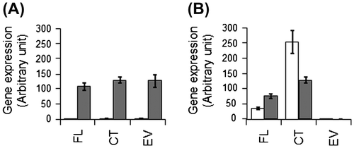Fig. 1. Expression of genes encoding nitrogenase (A) and ModE (B) in the recombinant Rps. palustris strains cultured in N-added (open columns) and N-free (closed columns) media.