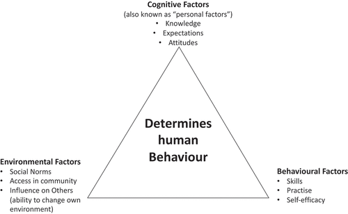 Figure 1. Illustration of the three main factors of the social cognitive theory [Citation16]