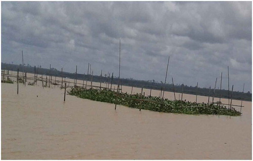 Figure 3. Water used to provide shade in fish trap on the Abby Lagoon at Jaway Wharf.