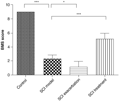 Figure 2. Anti-PD-1 therapy or naive CD8+ T-cells combination with anti-PD-1 therapy leads to severe SCI in BMT Rag1−/− mice, as assessed by BMS scores. Compared with the control group, the BMS score for SCI model group lowered significantly. By contrast to the mice in the SCI model group, BMS score of mice further reduced in the SCI exacerbation group, while was restored in the SCI treatment group.*p < 0.05; ***p < 0.001.BMT: Bone marrow transplant; BMS: Basso Mouse Scale for Locomotion; PD-1: Programmed death 1; Rag: Recombination activating gene; SCI: Spinal cord injury.