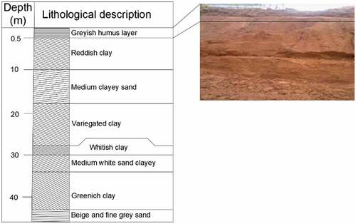 Figure 4. Lithological structure of soil in the site.