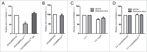 Figure 7. Effect of SorX overexpression in the SorX deletion background (A) or the hfq deletion strain (B) on resistance to organic hydroperoxides as determined by zone inhibition assays. Strains harboring the empty vector pBBR4352 served as controls (set to 100%). 1 M tBOOH was applied for the assay. Asterisks indicate a statistically significant change in inhibition zones (p ≤ 0.05) compared to their respective control strains (C) Effect of potA deletion on resistance to singlet oxygen and organic hydroperoxides monitored by zone inhibition assays. 1 M tBOOH or 50 mM methylene blue with light were used. Asterisks indicate a statistically significant change in inhibition zones (p ≤ 0.05) compared to wild type 2.4.1 (D) Effect of SorX overexpression in the potA deletion strain on resistance to singlet oxygen and organic hydroperoxides. The error bars indicate the standard deviation from the mean of biological triplicates.