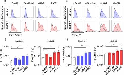 Figure 2. Co-stimulation of cytokine induction in Vδ2 T-cells within PBMC. 4 × 105 PBMC obtained from healthy donors were cultured in the presence of 25 µM MSA-2, 100 nM diABZI or 10 µg/mL cGAMP/cGAMP control in medium or in the additional presence of 10 nM HMBPP. After 24 h, monensin was added for 3 h before surface staining for CD3 and Vδ2 and intracellular staining for IFN-γ (a,b) or TNF-α (c,d). For analysis, a gate was set on CD3+Vδ2+ cells, and 2.000 events were acquired. (a) and (c) representative histograms of one experiment. Black histogram: isotype control; colored histograms in the absence (blue) or presence (red) of HMBPP: IFN-γ (a), TNF-α (c). (b) and (d) Mean ± SD of four experiments for IFN-γ (b) and TNF-α (d). Statistical significance: * p < .05, ** p < .01, *** p < .001; ns, not significant.