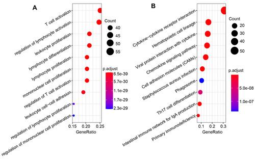Figure 4 Enrichment analysis of microenvironment-related differentially expressed genes. (A) The top 10 of biological processes GO terms. (B) The top 10 enriched KEGG pathways.