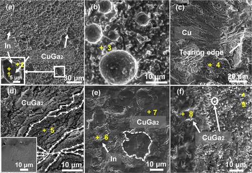 Figure 2. Fracture surfaces micro-morphology of (a–d) 5% copper powder addition, 0.6 s ultrasonic time; (e) 20% copper powder addition, 0.6 s ultrasonic time; (f) 5% copper powder addition, 1.2 s ultrasonic time.