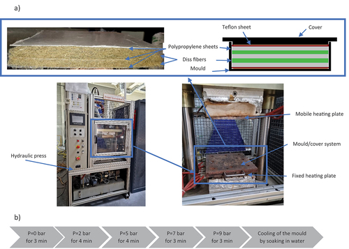 Figure 1. A) Preparation of the diss fiber/PP multilayer and biocomposite molding process, b) Pressure history applied on diss fibers/PP plates.