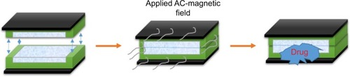 Figure 5 The concept of sandwich structure for drug delivery chip.Abbreviation: AC, alternating current.