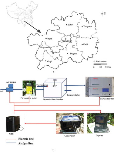 Figure 1. Map of the location of the study (a) and field observation experimental design (b).