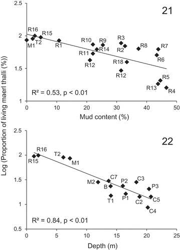 Figs 21–22. Significant linear relationships (P < 0.01) between the proportions of living thalli observed in the subareas of the Brittany maerl beds (Belle-Ile (B), Trévignon (T1–T2), Camaret (C1–C10), Rade de Brest (R1–R18), Molène (M1–M2) and Paimpol (P1–P3)) and environmental variables (depth and mud content). The relationship with mud content was established for subareas < 10 m deep (Fig. 21), while the relationship with depth was established for subareas with < 10% mud (Fig. 22).