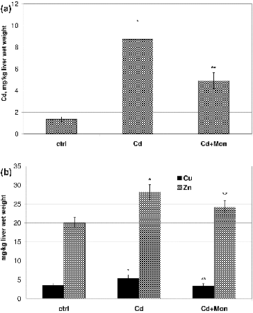 Figure 4. Effect of Cd and tetraethylammonium salt of monensic acid on the concentration of Cd (A) and the concentration of Cu and Zn (B) in the livers of experimental mice subjected to subacute Cd intoxication. Ctrl: normal control mice; Cd: Cd-treated mice; Cd + Mon: Cd-intoxicated mice treated with tetraethylammonium salt of monensic acid. Mean ± SD, n = 9; significant difference (p < 0.05) between the Cd-treated group and the control (*), and between the monensin-treated group and Cd-intoxicated group (**).