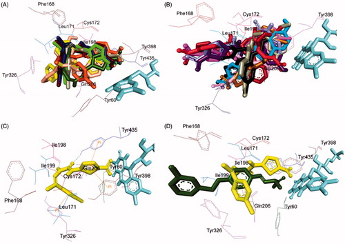 Figure 6. Superimposed MAO-B inhibitors docked into the binding pocket of MAO-B. FAD is displayed in cyan. Selected MAO-B residues are labelled in black. (A) Shared binding orientation of compounds 4, 5, 6, 9, 10, 13, 16, and 18 are displayed in dark blue, dark brown, bright green, dark orange, grey, dark green, yellow, and light orange, respectively. (B) Shared binding orientation of compounds 7, 8, 11, 12, 14, 15, 17, 19, 20, and 21 are displayed in dark purple, red, light blue, dark pink, light brown, grey, maroon, black, light purple, and light pink, respectively. (C) Binding orientation of compound 4 (yellow) within the MAO-B binding pocket showing π–π (orange lines) and hydrogen bonding (green dashed lines) interactions. (D) Superimposed binding orientation of compound 4 (yellow) within the MAO-B binding pocket originally docked with safinamide (dark green).