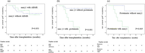 Figure 5. Graft survival between (a) mm ≥ 1 with ABMR and mm ≥ 1 without ABMR; (b) mm ≥ 1 with proteinuria and mm ≥ 1 without proteinuria; (c) proteinuria with mm ≥ 1 and without mm ≥ 1.