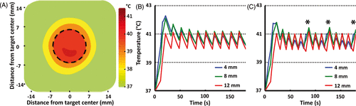 Figure 5. (A) Time-averaged spatial temperature distribution for a 12 mm treatment cell in silico (coronal plane) for 10 min mild hyperthermia with normal perfusion (1 mL/mL/min). Treatment cell is outlined in black dashed line.(B, C) Simulated mean temperature along 4, 8 and 12 mm subtrajectories at two different perfusion levels (B, normal perfusion (1 mL/mL/min) and C, high perfusion (2 mL/mL/min). Only at high perfusion level was it necessary to heat subtrajectories other than 12 mm after initial heat-up – notice the heating of the 4 mm subtrajectory at 80, 120 and 170 s (marked with asterisks in C).