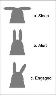 FIGURE 4 Ear positions used by the Nabaztag to indicate its state of attention.
